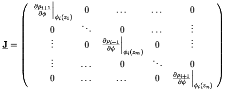 $\displaystyle \underline{\mathbf{J}} = \left( \begin{array}{ccccc} \left. \frac...
...al \rho_{i+1}}{\partial \phi} \right\vert _{\phi_i (z_n ) } \end{array} \right)$