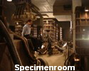 Specimenroom