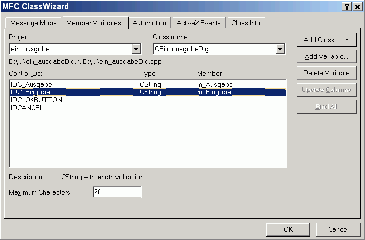 Member Variable