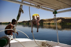 Diving the Nile