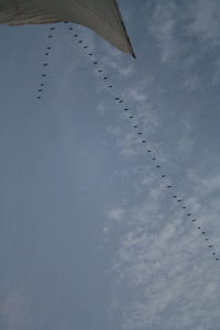 IMG_2915.JPG