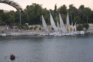 IMG_2977.JPG