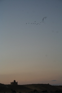 IMG_3452.JPG