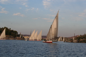 IMG_3500.JPG