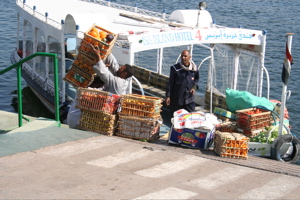 IMG_3578.JPG