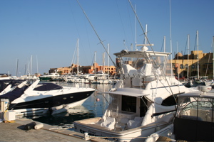 IMG_3677.JPG