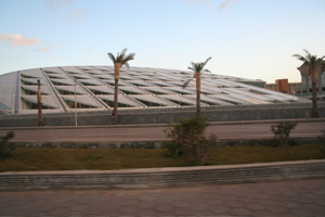 IMG_2315.JPG