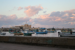 IMG_2327.JPG