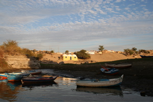 IMG_2879.JPG
