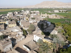 n669298668_692094_8805