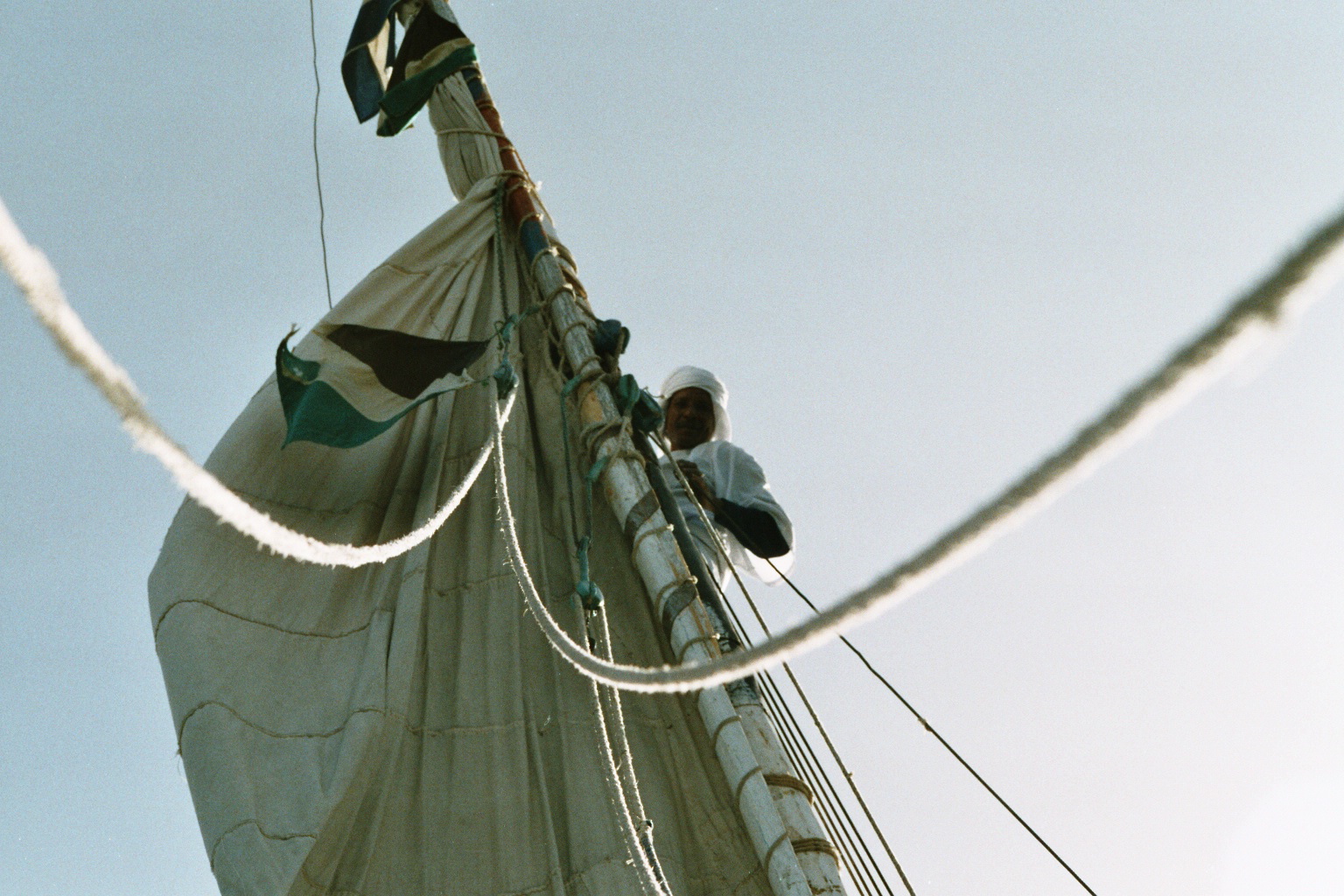 Segler auf Mast