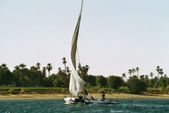Feluke Aswan