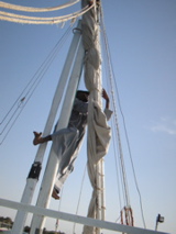 Segler