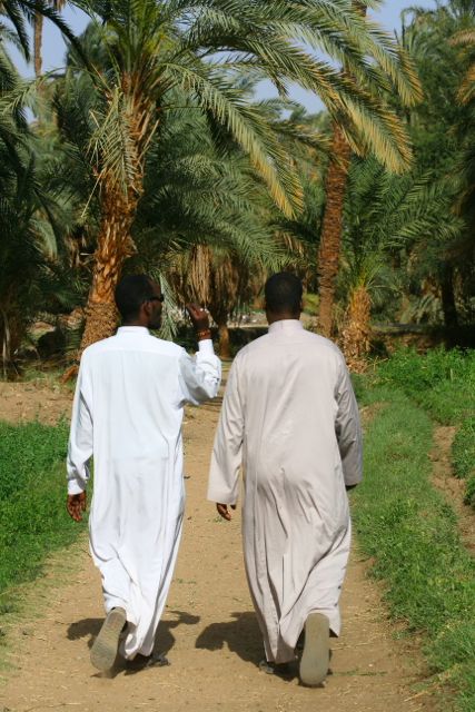 Mustafa and Ahmed stroll through the fields