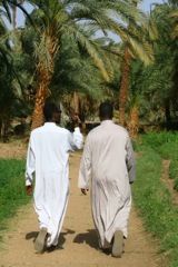 Mustafa and Ahmed stroll through the fields