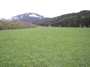 [Innichen 2]