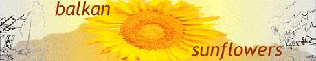 Balkan Sunflowers