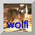 [wolfi-Logo]